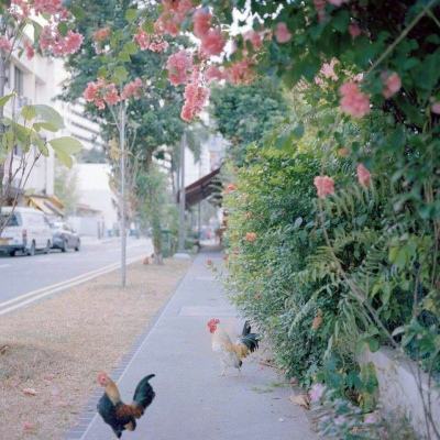 天健棋牌app下载