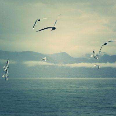 南宫ng28娱乐官网入口