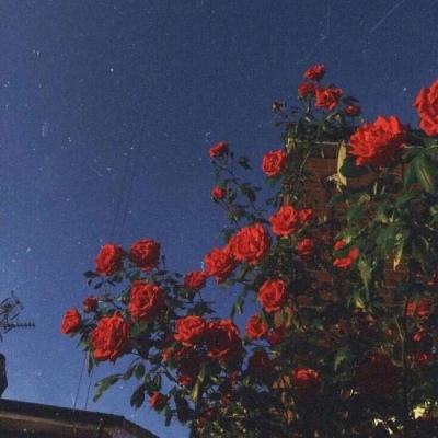 银河国际官网app下载手机app下载