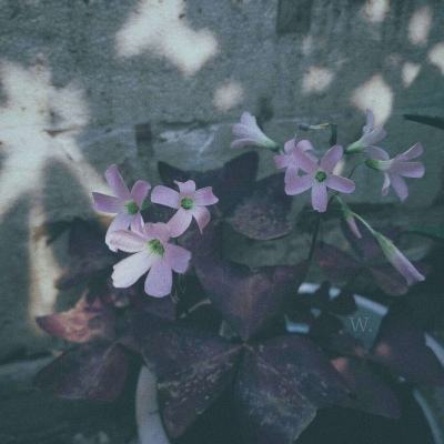 金年会体育app下载官网