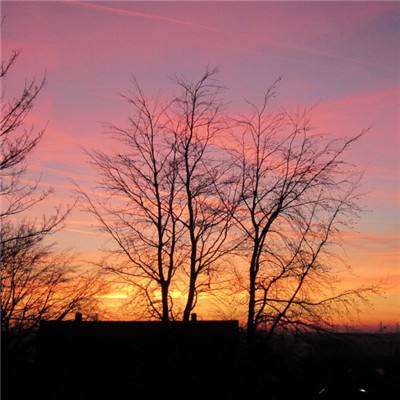 开元ky888棋牌开元登录