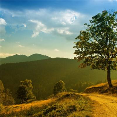 开运app官方登录入口