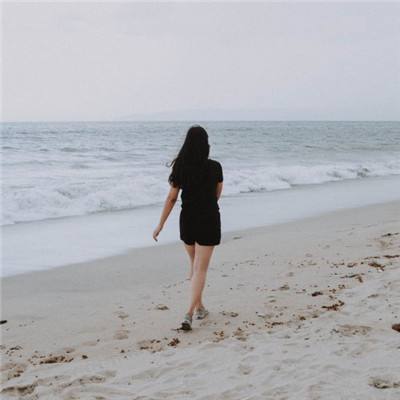 凤凰彩票下载手机版