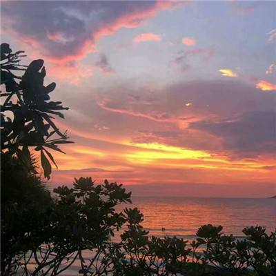 AG直装官方下载